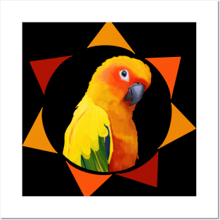 Sun Conure Geometrical Sun Design Posters and Art